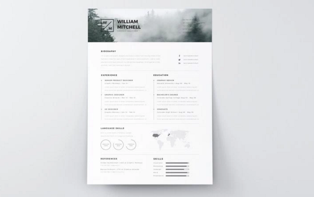Minimalistic and Clean Resume Template