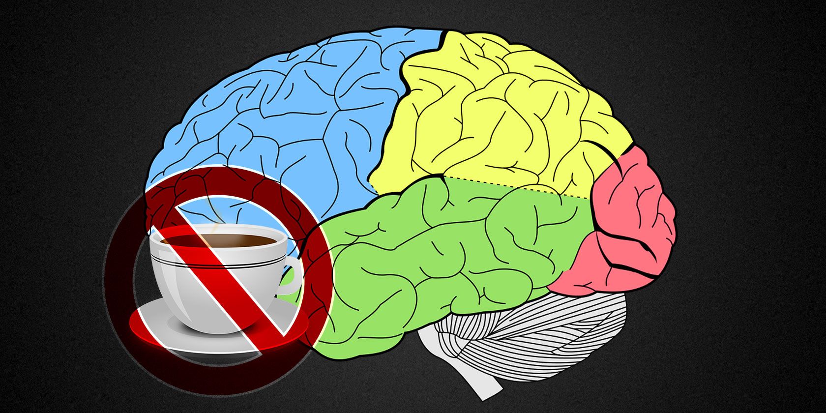 Caffeine Baby Brain Development: What You Need to Know