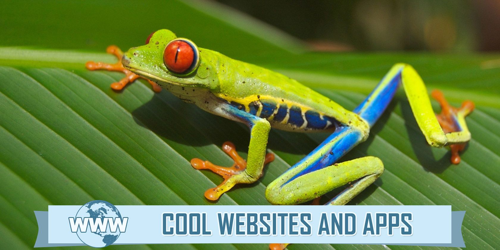 5 Sites That Bring The Natural World to Your PC, Phone or Tablet