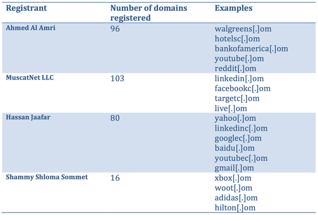 typosquatter-domains-example