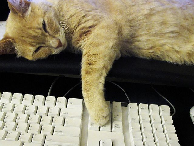 Sleepy Computing