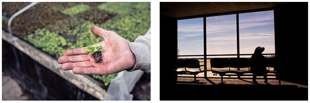 The 15 Best Sites for Free High-Resolution Stock Images
