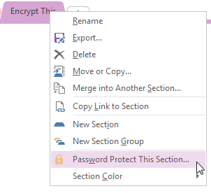 OneNote 2013 Create Password for Section