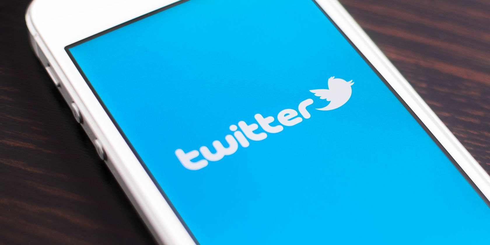 A mobile phone displays the twitter logo on a blue background