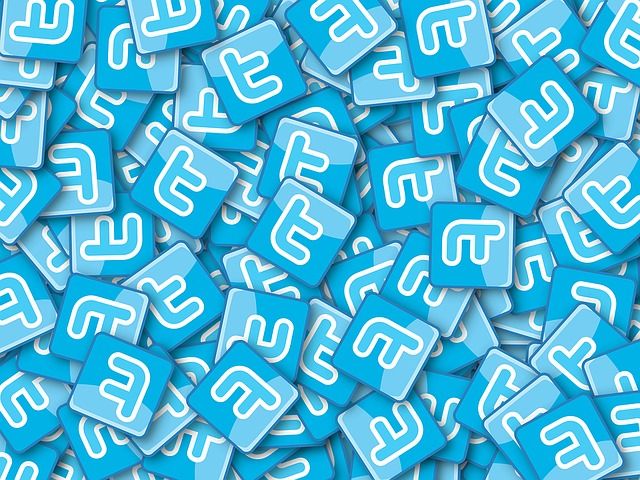 Twitter-Leak-logos
