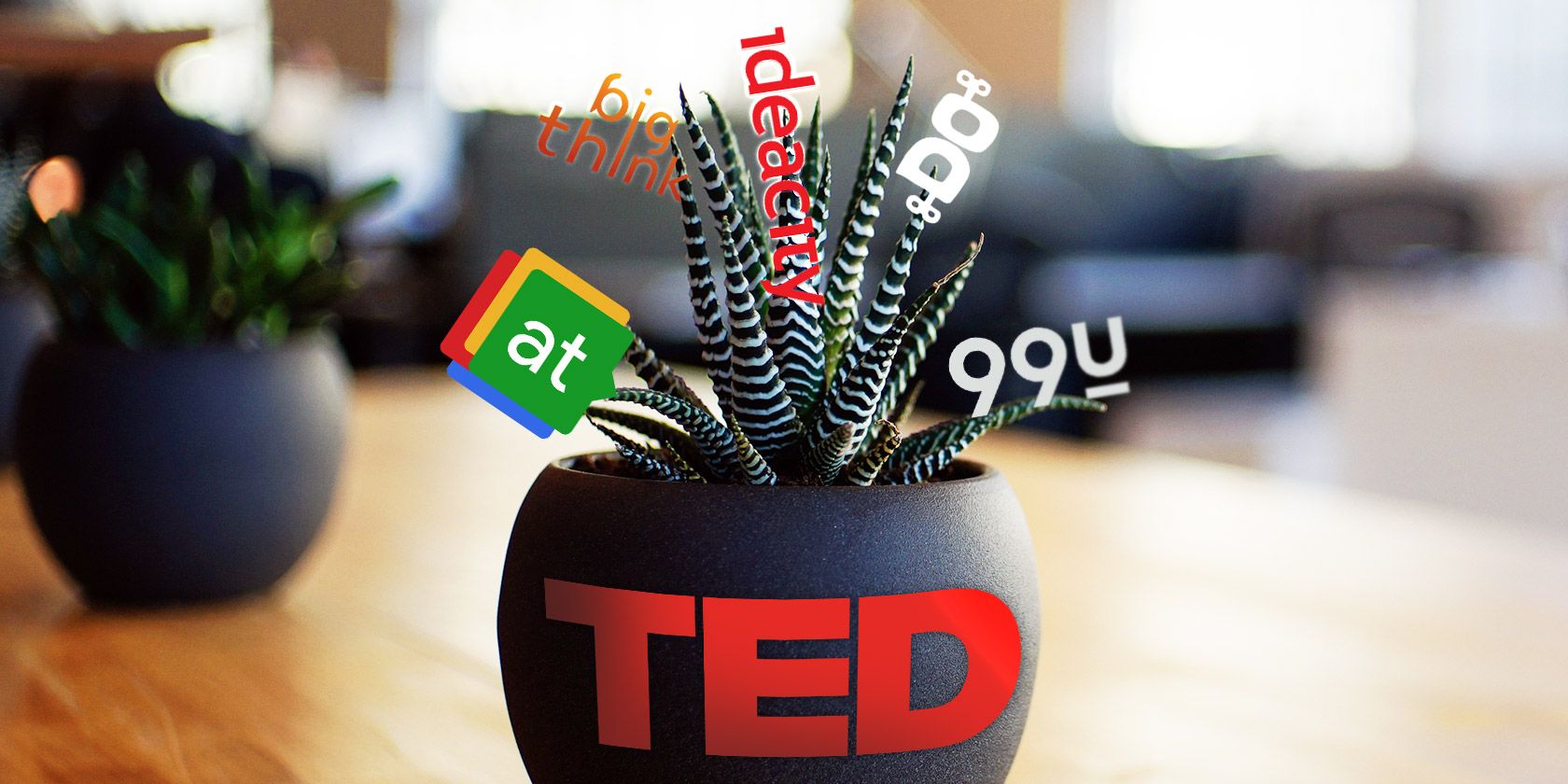ted-alternatives
