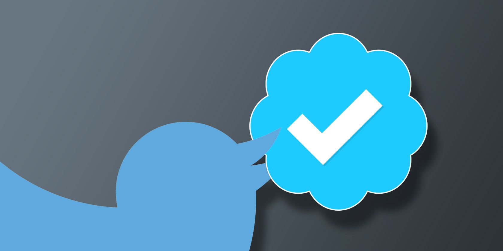 How to Get a Verified Account on Twitter (And Is It Worth It?)