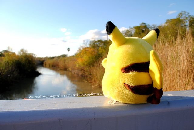 Pikachu Sitting on a Rail Looking Into Nature