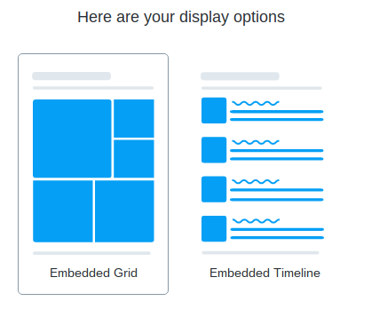 Twitter Embed Display Options