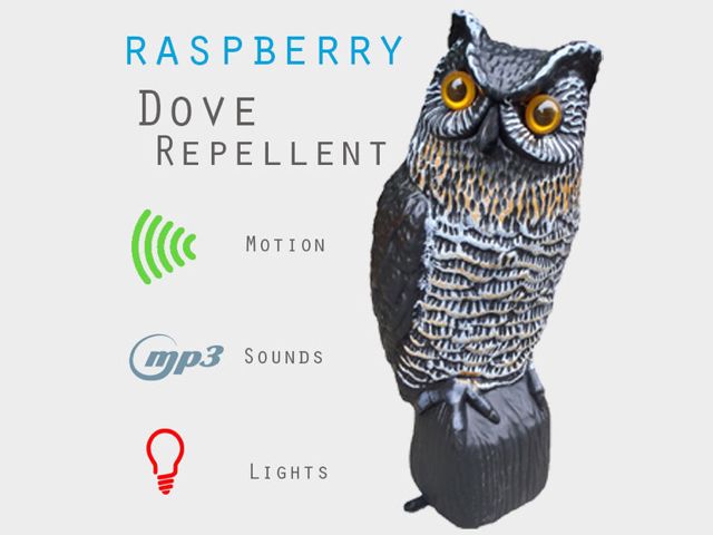 raspberry-pi-dove-repellent-weird
