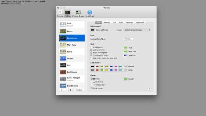 Mac Terminal Example Screenshot