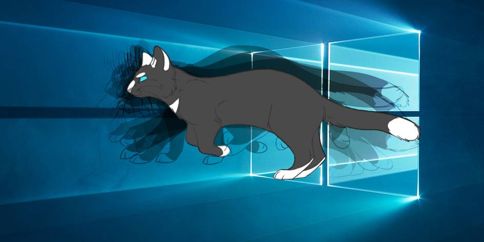How To Use An Animated Gif As Your Desktop Wallpaper With Rainmeter How To Use An Animated Gif As Your Desktop Wallpaper With Rainmeter