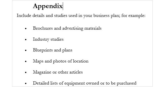 explain the appendix in business plan