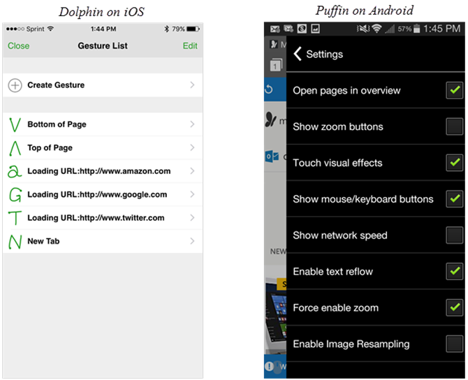 Dolphin Puffin Browsers on Mobile Devices