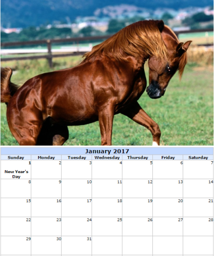craft a printable calendar for the new year