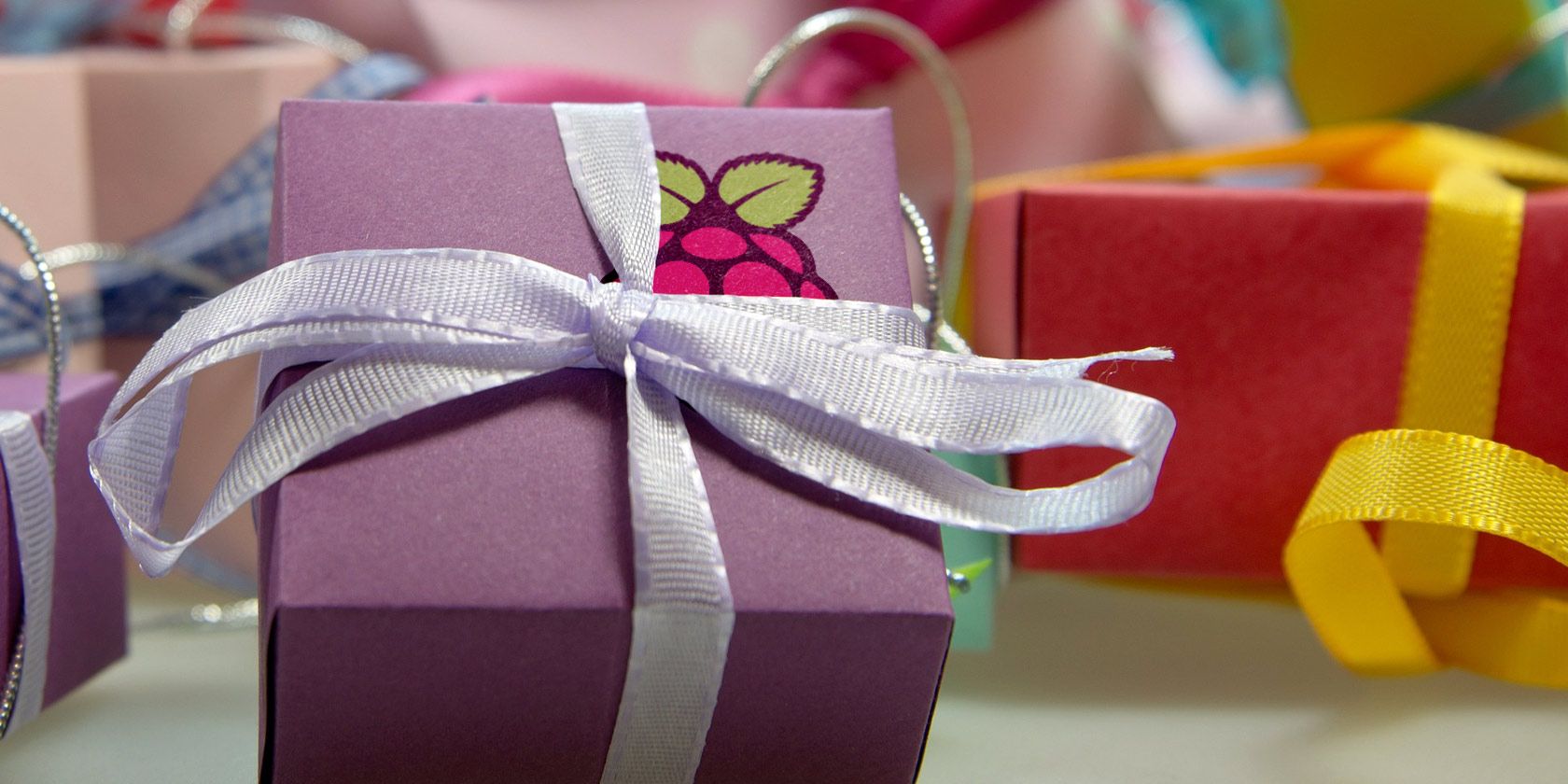 gifts-raspberry-owners