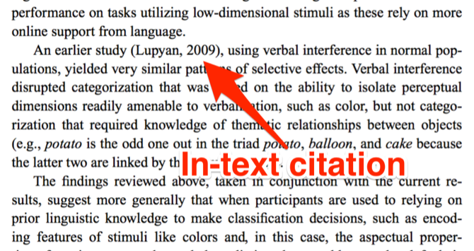 In Text Citation Lupyan