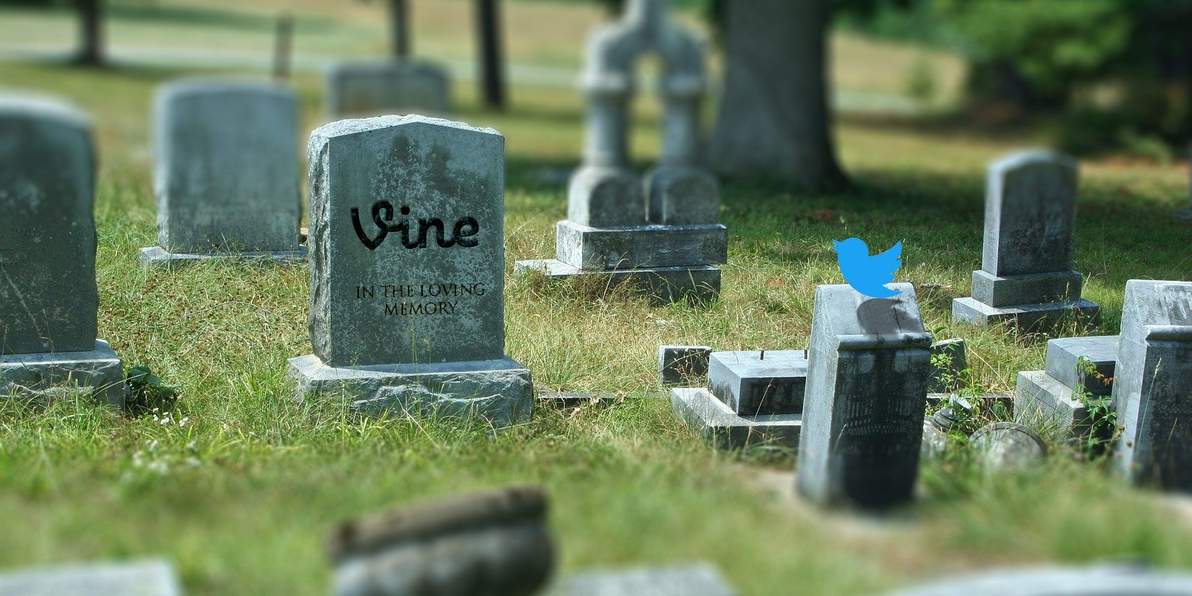 twitter-kills-off-vine