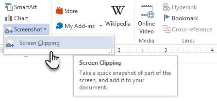 Microsoft Word - Screen Clipping Tool
