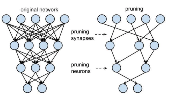 neural net pruning