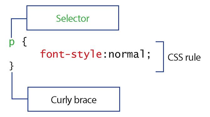 Creating Web Interfaces: Where to Start