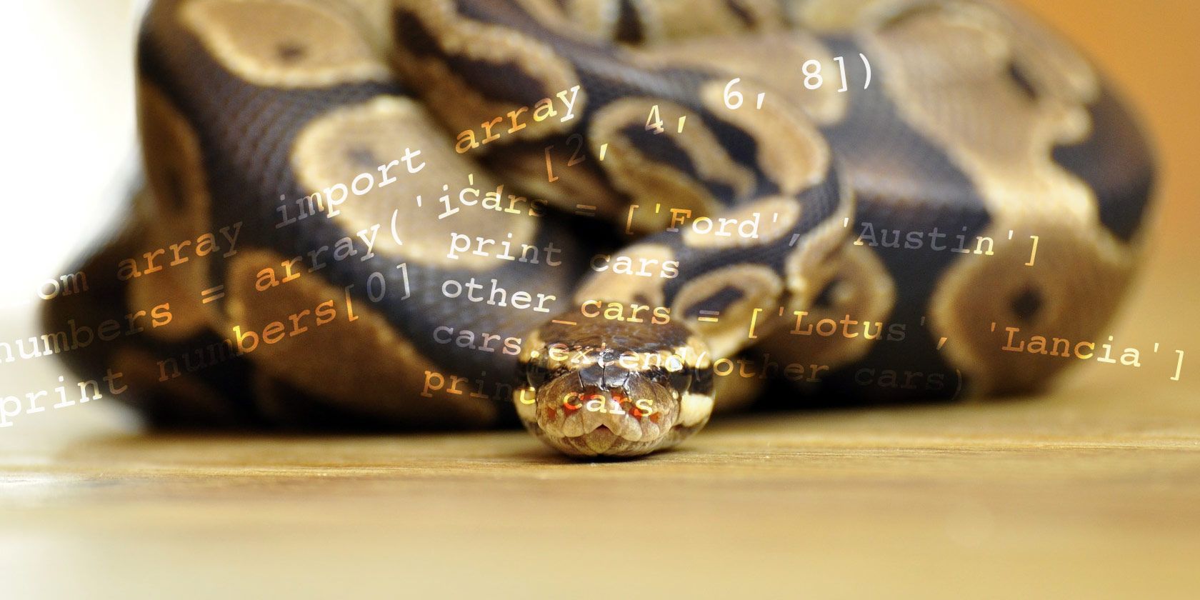 python-arrays-lists