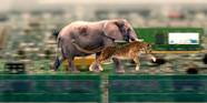 Faster RAM Vs More RAM Which Is More Important For Performance 