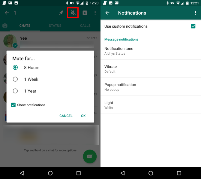 whatsapp mute notification options