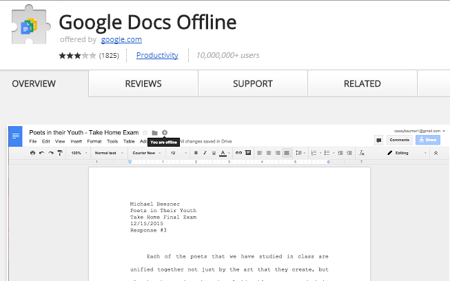 Google Docs Offline Extension Not Working