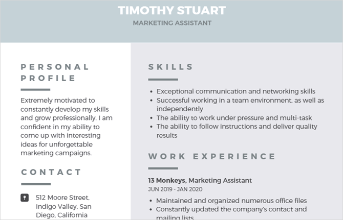 canva modern professional resume template