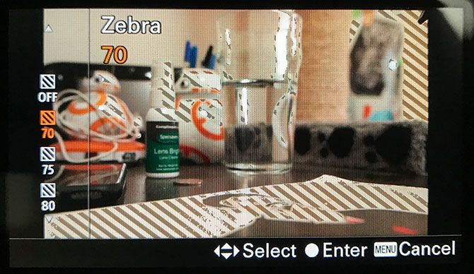 mirrorless camera a6500 zebra