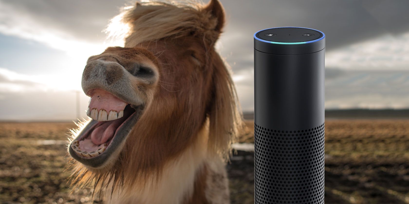 The Funniest Questions You Can Ask Alexa