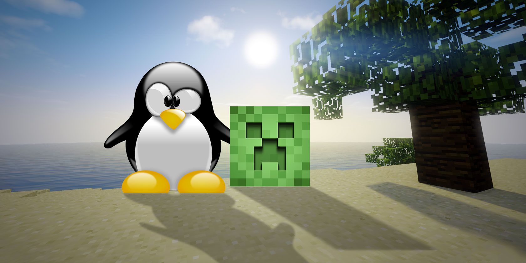 install minecraft - Come installare la versione completa di Minecraft su un PC Linux
