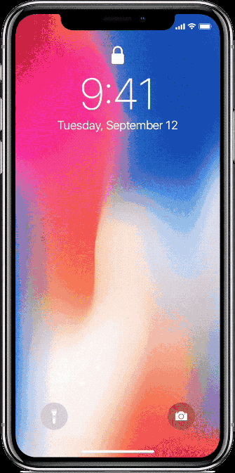 iPhone X Unlocking with Face ID