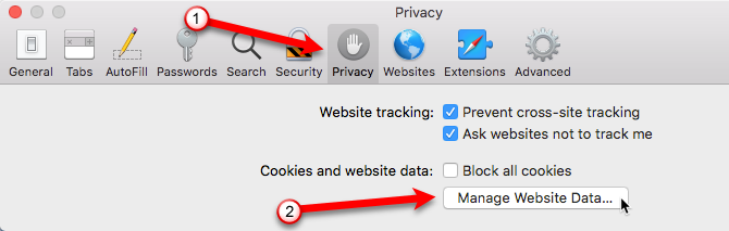 manage website data on safari