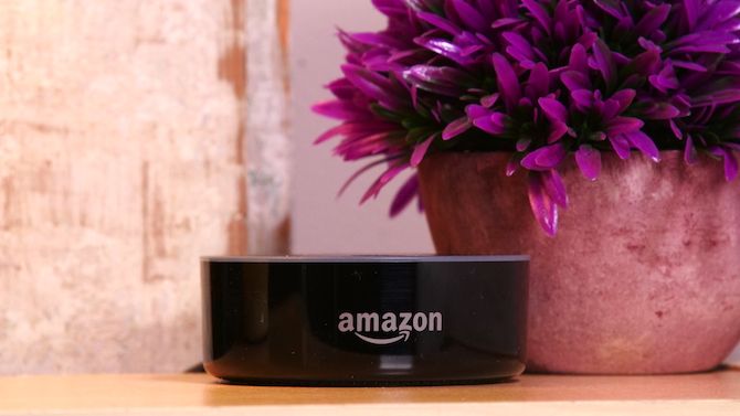 An Amazon Echo next to a flower pot