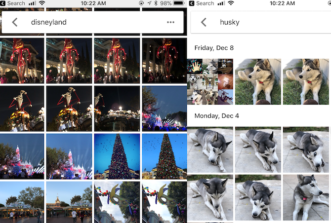 Google Photos search bar and results