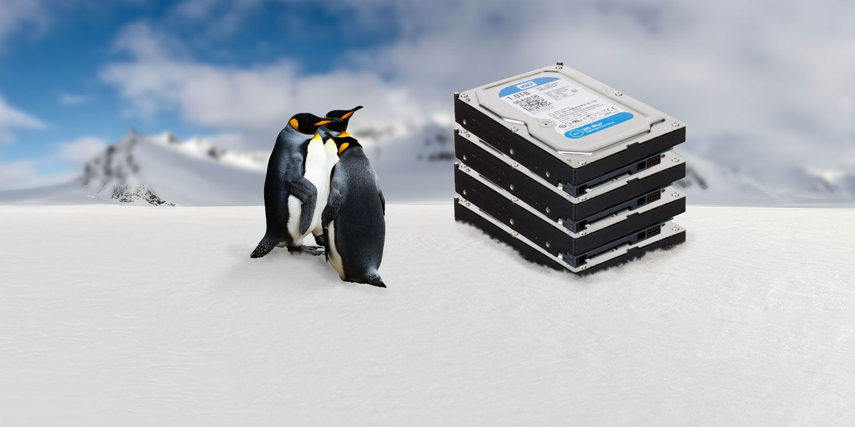linux-hdd-array