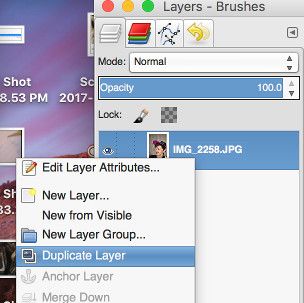 duplicate layers in gimp photo editor