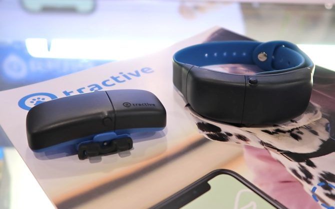 tractive pet wearable tracking