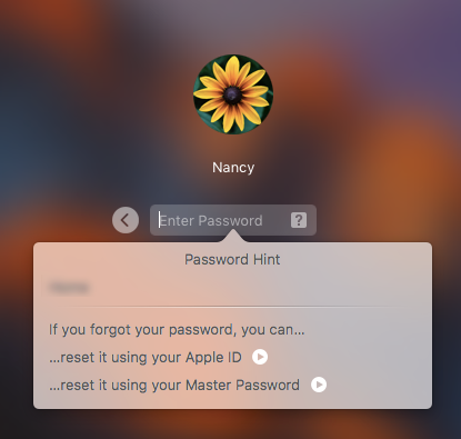 Master-Password