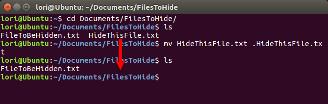 Hide a file using the Terminal in Linux