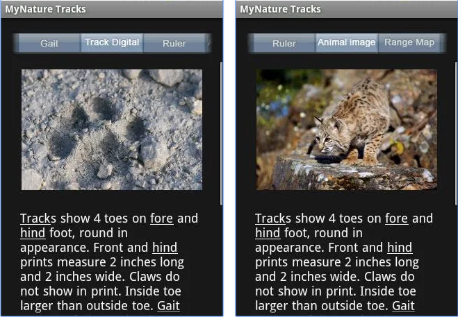 MyNature Animal Tracks