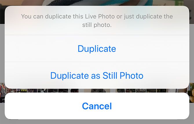 Duplicate Still Photo on iOS