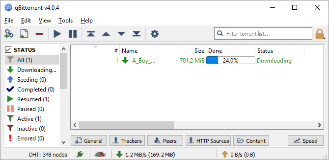 This is a screen capture of one of the best the Windows programs for downloading torrents. It's called qBittorrent