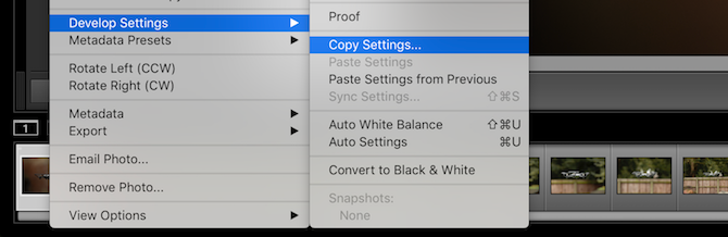 Copying settings for batch editing in Lightroom