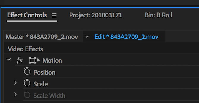 adobe premiere pro tips - scale