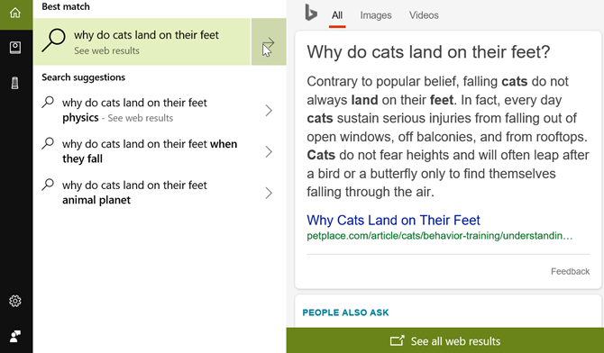 Cortana Cat Question Desktop