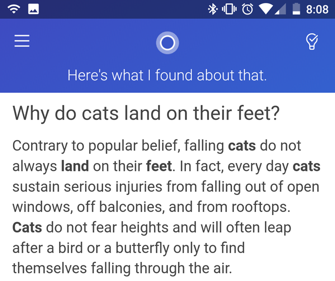 Cortana Cat Question Answer