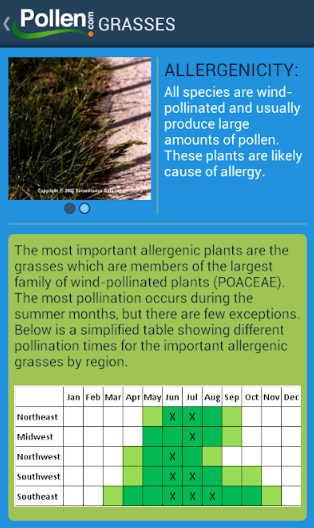 pollen-alert2